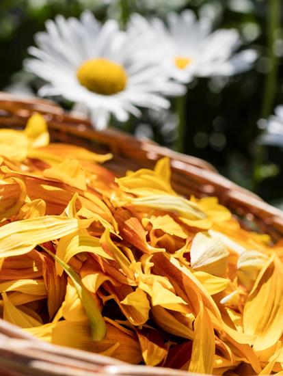 Basket with leaves