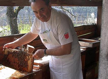 Logo South Tyrolean Apiaries