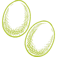 Freilandeier Grafik