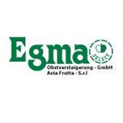 Logo Egma