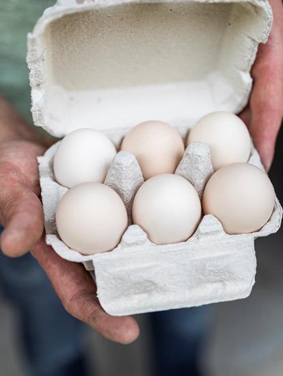 Box of six white eggs