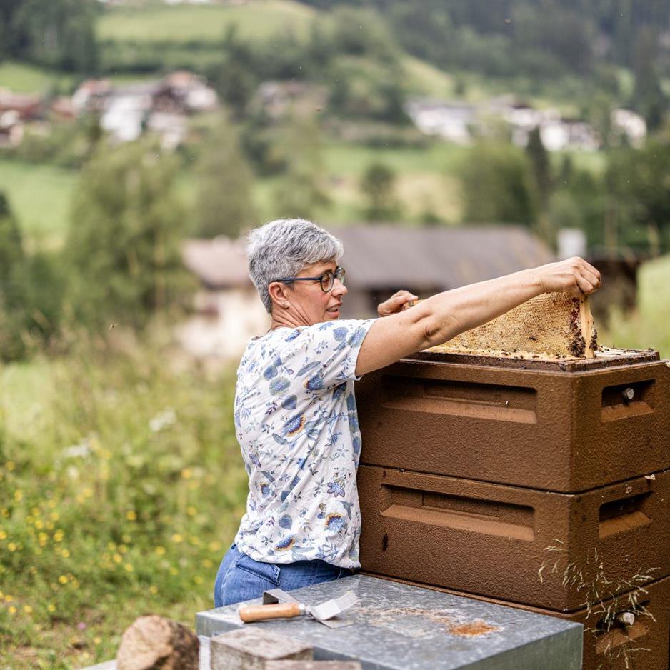 Maria Mayr entnimmt eine Honigwabe aus dem Bienenstock beim Imkern