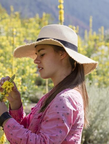 Girl picking aromatic herbs