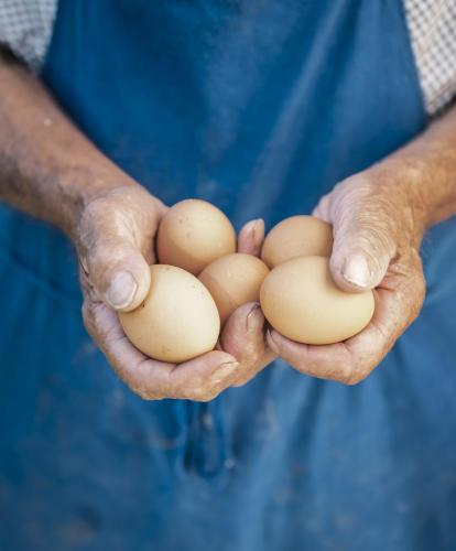 Eier
