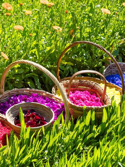 Baskets with different flowers