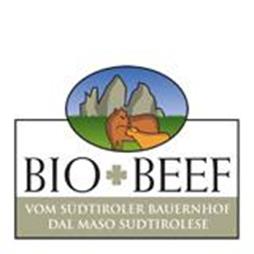 Logo Bio Beef