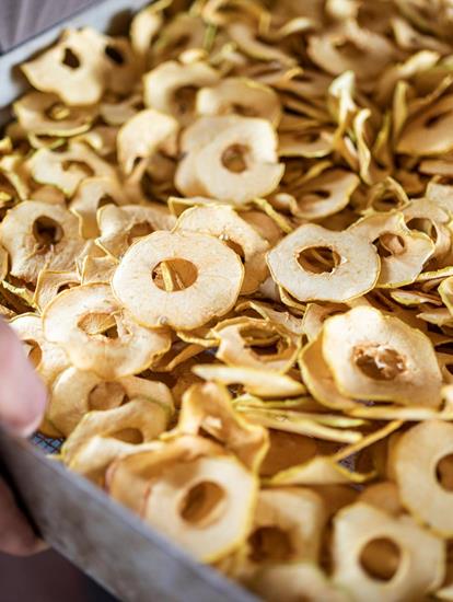 dried apple slices