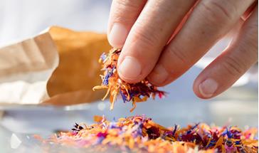 packaging wildflowers