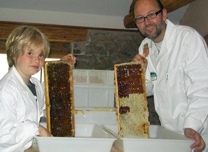 Logo Pörnbacher Apiary