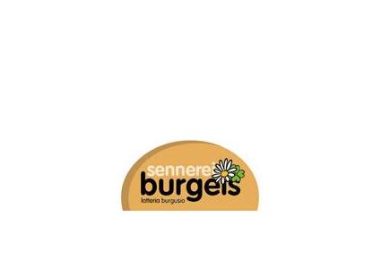 Logo Sennerei Burgeis