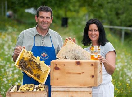 Logo Apiary Stillebacher Hubert