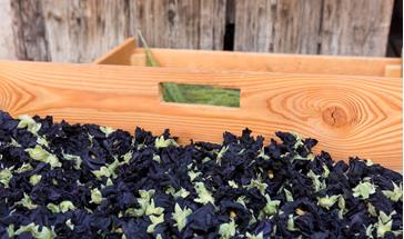 Wildflowers in a box