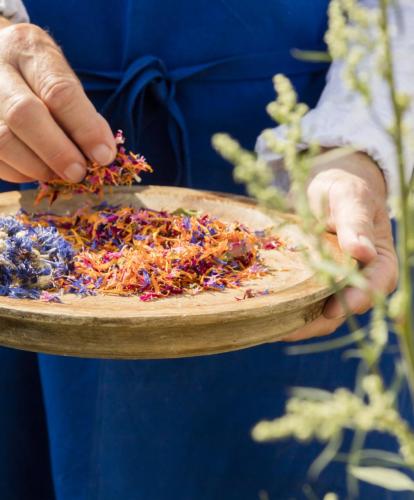Header Herbs